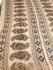KALAMKARI PRINTED COTTON SAREE