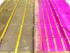 Special Sarees Art Silk Normal Paramakudi 5 50 Mtrs