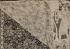 KALAMKARI PRINTED COTTON SAREE