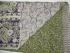 KALAMKARI PRINTED COTTON SAREE