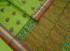 Negamam Cotton Sarees