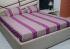 EXPORT BEDSHEET+2 PILLOW COVER 