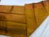 PL EMBOSS SAREE