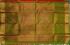 KPM AJ SILK SAREE W/B