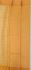 PL EMBOSS SAREE