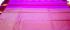 POWERLOOM BIG BUTTA SAREE