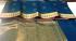 POWERLOOM BIG BUTTA SAREE