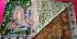 KALAMKARI PRINTED COTTON SAREE