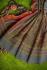 PONNAI TIE DYE SAREE WITH BLOUSE