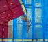 SALEM SILK SAREE WITH BLOUSE