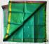 SALEM SILK SAREE WITH BLOUSE