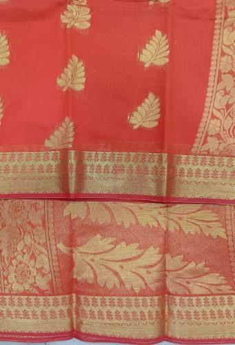 PL BIG BUTTA SAREE