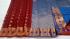 PL EMBOSS SAREE