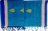 SAREES NEGAMAM WITH BLOUSE