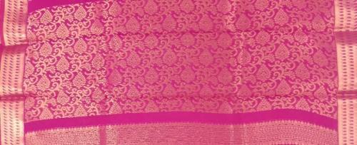 PL BIG BUTTA SAREE