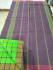 SAREES SALEM 80S WITH BLOUSE