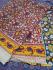 KALAMKARI PRINTED COTTON SAREE