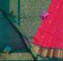 PMK 1000 BUTTA SILK COT SAREES
