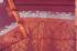 PL BIG BUTTA SAREE