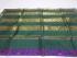 SALEM SILK SAREE WITH BLOUSE