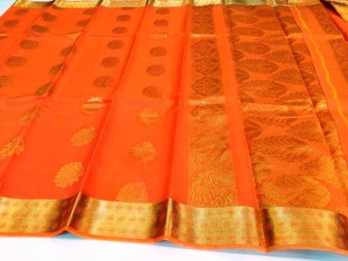 PL BIG BUTTA SAREE