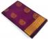 PL BIG BUTTA SAREE