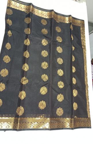 PL BIG BUTTA SAREE