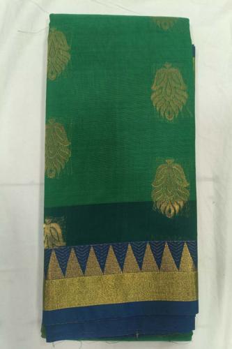 PL BIG BUTTA SAREE