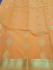 PL BIG BUTTA SAREE