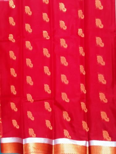 PL BIG BUTTA SAREE