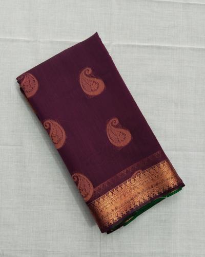 PL BIG BUTTA SAREE