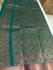 PL BIG BUTTA SAREE