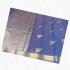 PL BIG BUTTA SAREE