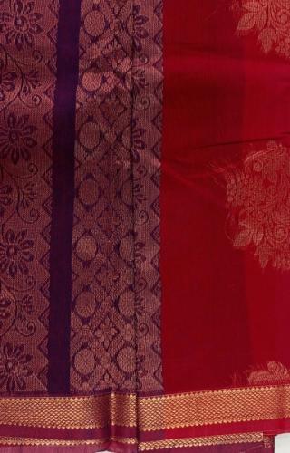 PL BIG BUTTA SAREE