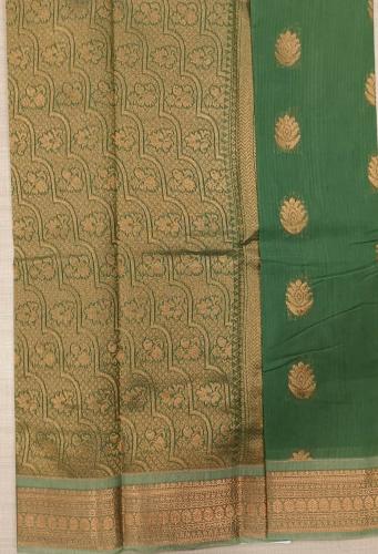PL BIG BUTTA SAREE