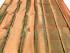 PL Muhurtham Saree