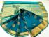 PL BIG BUTTA SAREE