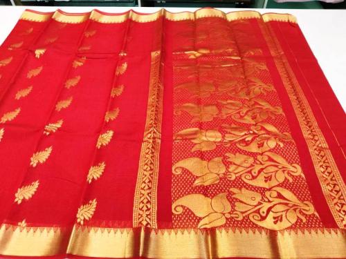 PL BIG BUTTA SAREE