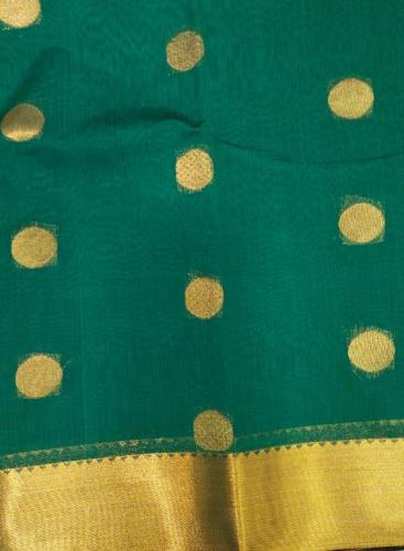 PL BIG BUTTA SAREE
