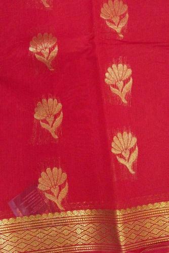 PL BIG BUTTA SAREE