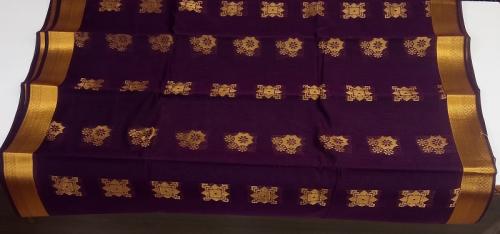 PL BIG BUTTA SAREE
