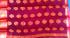 PL BIG BUTTA SAREE