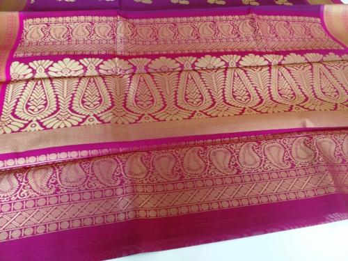 PL BIG BUTTA SAREE