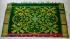 COTTON X KORA SILK TIE DYE SAREES CHINNLAPATTI