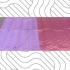 PL EMBOSS SAREE
