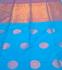 PL Softee Saree