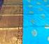 Polyster Softee Saree