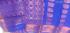 PL EMBOSS SAREE