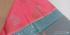 PL Softee Saree