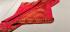PL EMBOSS SAREE